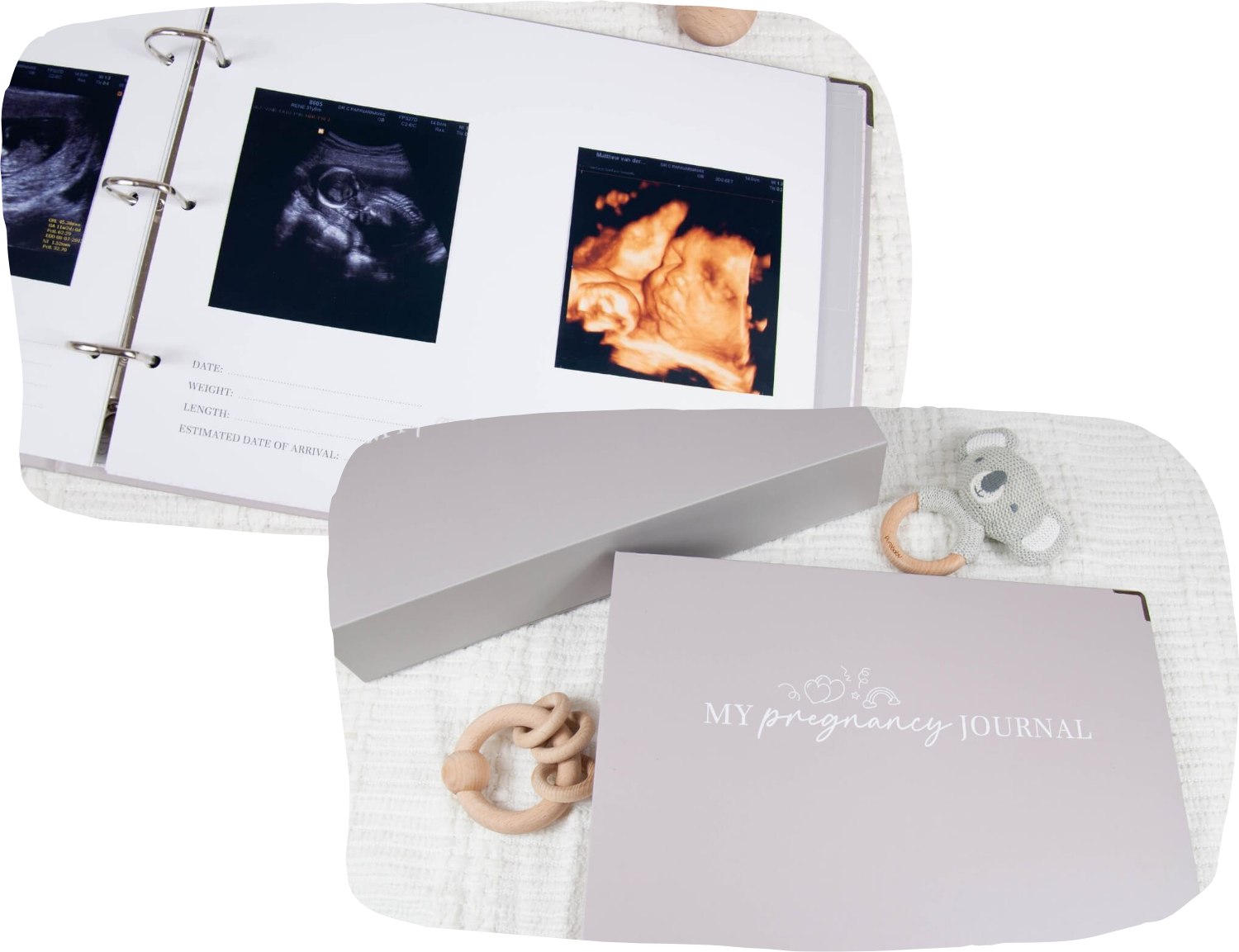 Pregnancy journal
